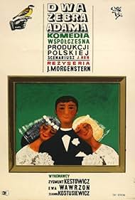 Adam's Two Ribs (1964) Adam's Two Ribs (1964)