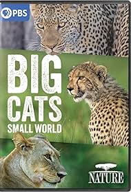 Big Cats, Small World (2024)