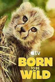 Born to be Wild (2025) 2025