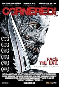 Cornered! (2008)