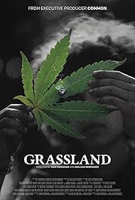 Grassland (2024)
