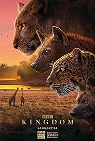 Kingdom (2025) 2025