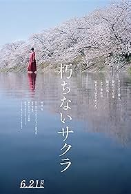 Sakura (2024)