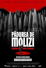 Spruce Forest (2025)